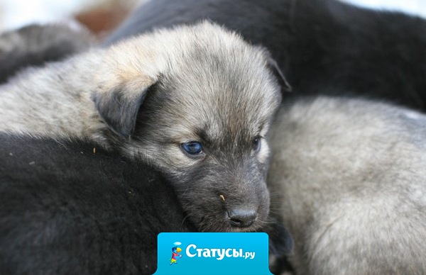 Глупые женщины следят за своими мужчинами, а умные за собой!