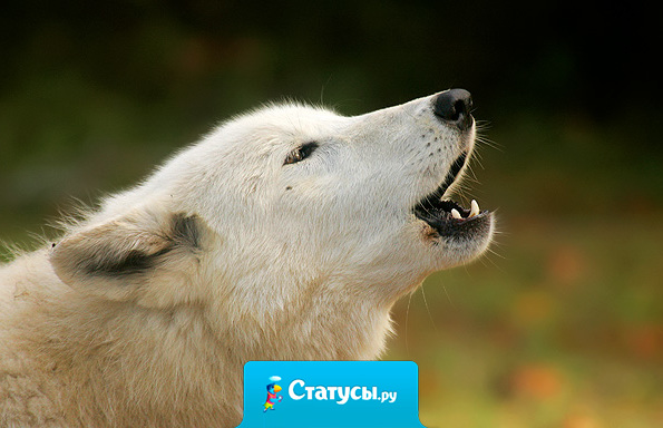 Никто не может разрушить нашу жизнь, как мы сами.