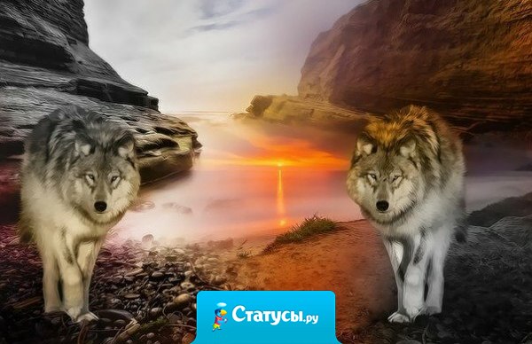 Никто тебе не друг, никто тебе не враг, но каждый для тебя учитель.