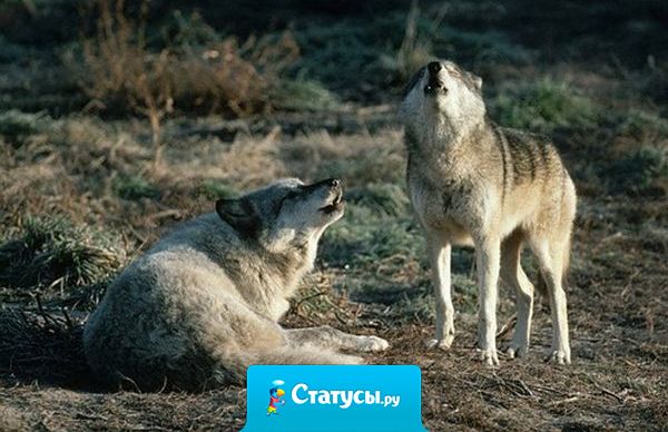 Все, что нас окружает, когда-то казалось волшебной мечтою…