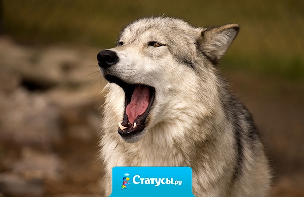 Любовь к самому себе – роман, длящийся целую жизнь.