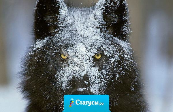 Чем ленивее человек, тем больше его труд похож на подвиг.