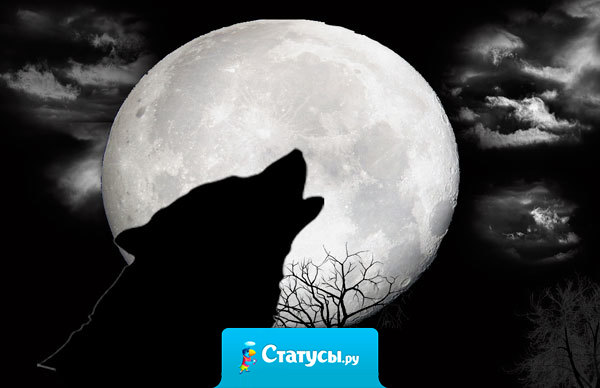 Чем тоньше лёд, тем больше людей хочет убедиться, выдержит ли он.