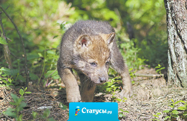 Мы должны сделать все ошибки только потому, чтобы понять, из-за чего мы их не должны были делать.