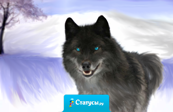 Всякая любовь продолжается столько, сколько она заслуживает.