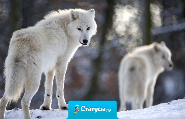 Мы ищем что-то новое, прекрасно понимая, что без старого не можем прожить.