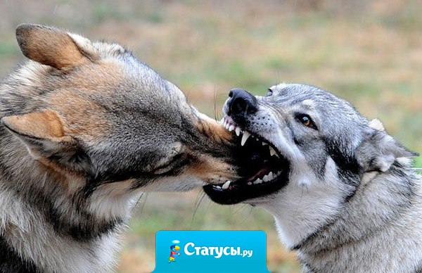 Не знаю говорят тогда, когда боятся сказать 