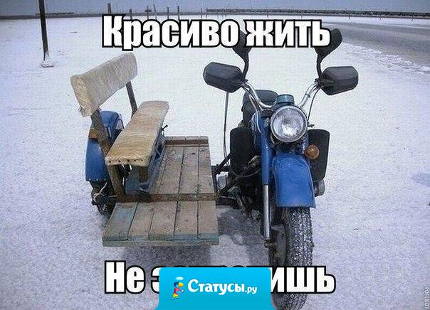 Красиво жить не запретишь