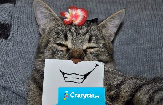 Я не страдаю горем от ума, скорее ￼- счастьем от придурковатости.