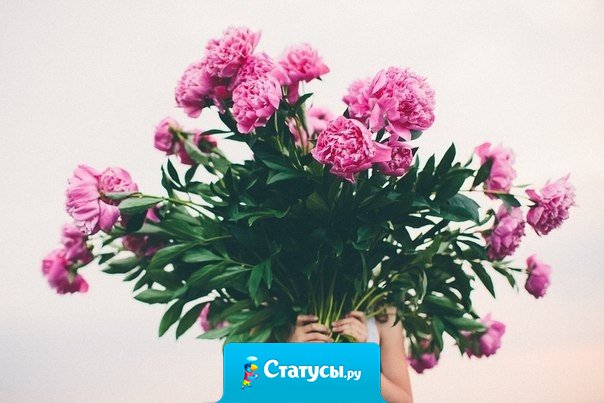 - А какой праздник сегодня? - Еще один прекрасный день!