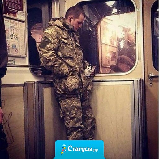 Если бы у каждого в кармане был котик, мир был бы добрее.