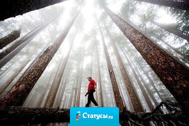 Когда нет врага внутри, внешние враги не могут вас ранить.