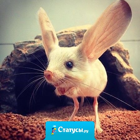 Так выглядит женщина, когда ее муж говорит с кем-то по телефону.