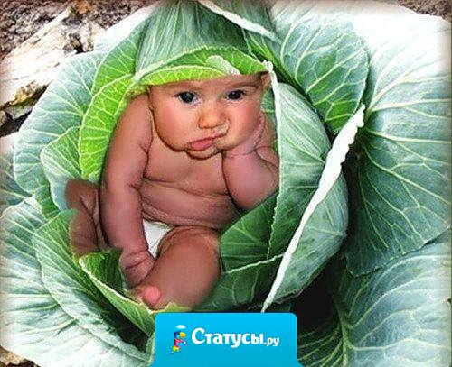 - Когда же, блин, они меня найдут? Надо было аистом лететь!