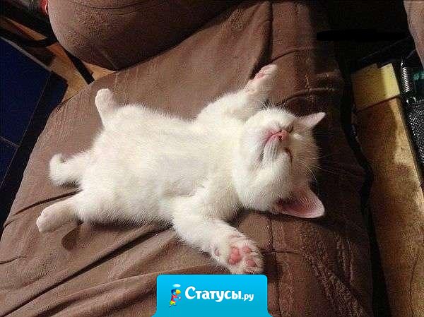 Так я выгляжу, когда прихожу с работы!!!