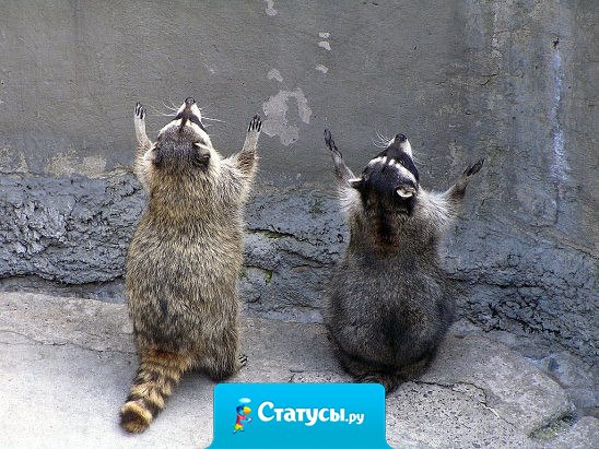 Господи, даруй людям мозг, а некоторым… ещё и инструкцию по применению…