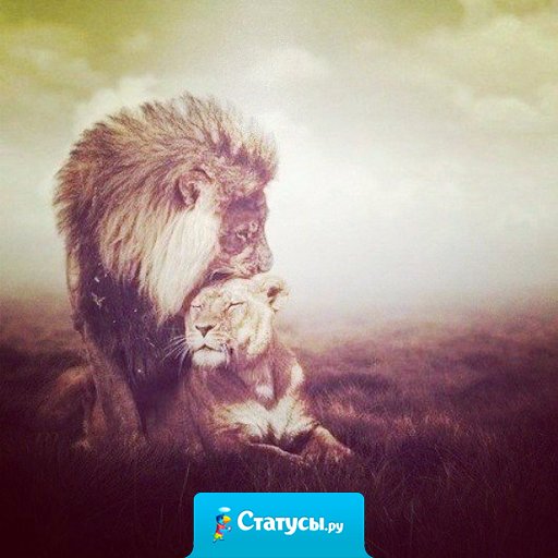 Цветы, деньги, подарки - это не счастье, поверьте, счастье - это просто прижаться к нему, к тому, кто тебе дороже всех, прижаться и просто быть рядом.