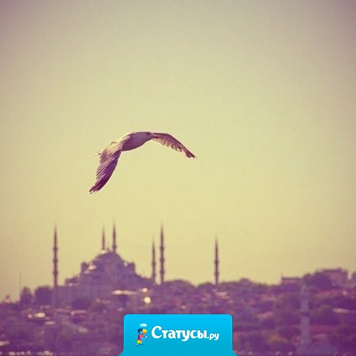 Мне бы хотелось крепко обнять тех, кто сейчас на небе.