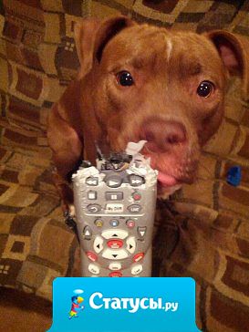 Понять и простить...