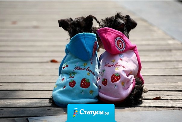 Только когда находишь своего человека можно молчать вдвоём и получать от этого удовольствие.