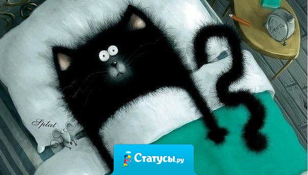 Иду я как-то утром на работу, спокойно иду, не опаздываю. И тут понимаю, что вокруг одеяло, подушка, я в кровати и я сплю!