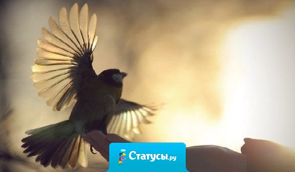 Кто берёт — наполняет ладони, кто отдает — наполняет сердце…