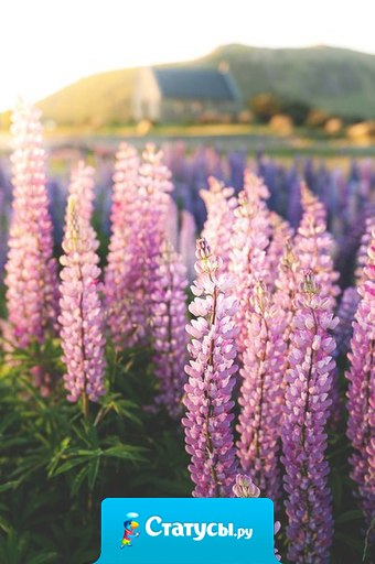 Хочешь быть счастливым человеком — не ройся в своей памяти.