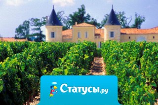 Ешьте больше фруктов и меньше друг друга.