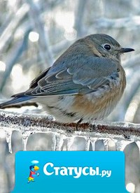 В зиме столько волшебства, столько красоты! Оглянись вокруг!