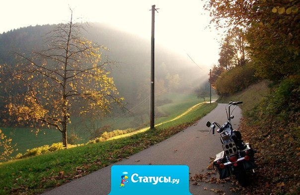 Не бойся отправляться в путь, бойся оставаться на месте.