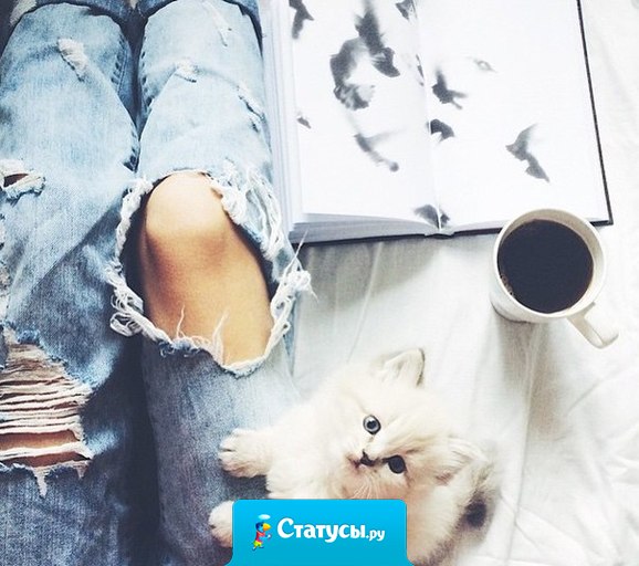 Не обижай любимых грубым словом, Слова – вода, но мы её основа...