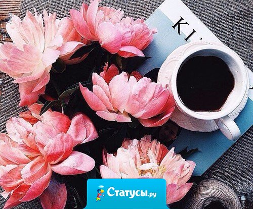 Люди говорят одно, а делают другое — это один из самых забавных спектаклей, которые предлагает нам жизнь.