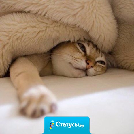 Сохраняя позитивное отношение к жизни, можно оставаться счастливым даже в самых неблагоприятных условиях.