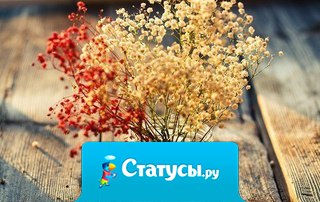 Осень - это наша тайна. Мы многое храним в душе, и только прохладная осень, лукаво улыбается, знает, чем согреть нас и что нам подарить. У каждого из нас своя осень. Свой цвет, запах и вкус... Берегите осень. Наслаждайтесь своей осенью...