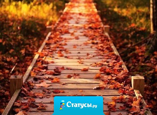 Не позволяй плохим дням внушать тебе мысли о том, что плоха вся жизнь.