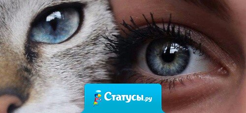 Каждый видит ту красоту, до которой дорос.