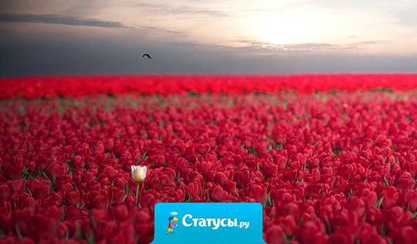 Но с возрастом я кое-чему научился. В частности: ты не обязан никому ничего объяснять, если тебе этого не хочется.