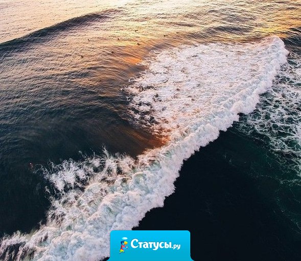 Дерево познаётся по плоду, человек по его делам. Доброе дело никогда не теряется, тот, кто сеет вежливость, пожинает дружбу, тот, кто выращивает добро, собирает любовь.