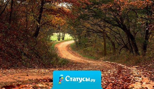 Чтобы найти верную дорогу, сначала надо заблудиться. 