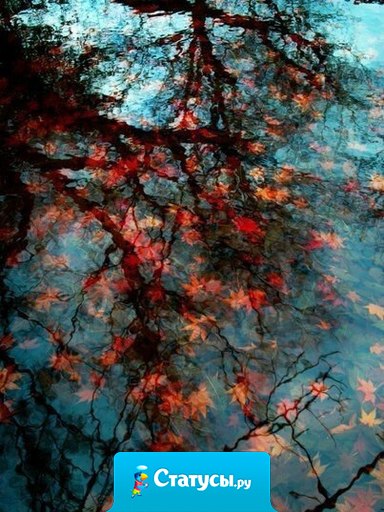 Не меняйте свои мечты только потому, что вы не знаете, как сделать их реальностью. Вы этому научитесь.