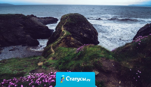 Если ты от Жизни ничего не требуешь, то она сама рождает каждое мгновение таким, каким оно должно быть.