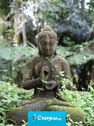 Умеренность, самоуглубление, созерцание и спокойное ожидание своего часа — путь к нирване. Срединный путь дает прозрение, знание; ведет к успокоению, высшему разуму, нирване.