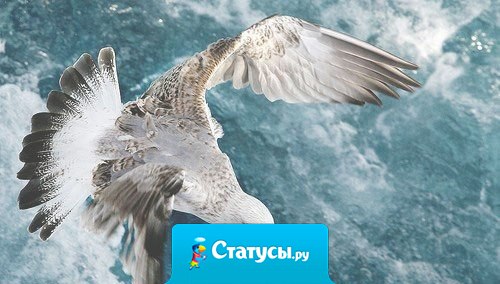 Море - это душа человека, также волнуется, также переживает и способно на шторм.