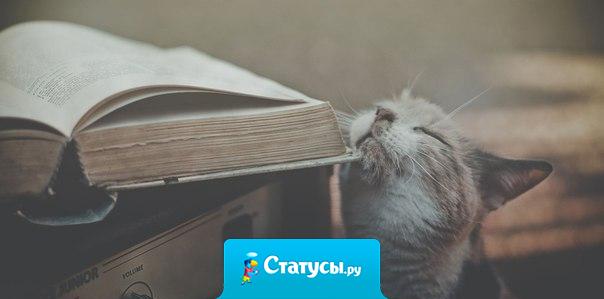 Ничто так не пробуждает воспоминания, как запах.