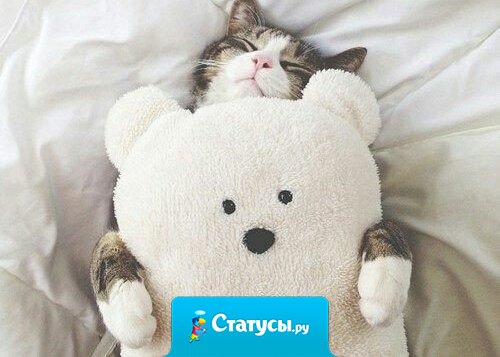 Коты – это ценнейший ресурс. Они уют вырабатывают.