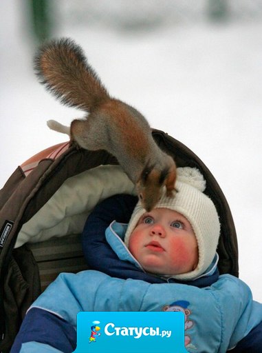 Привет, малыш. Орехи есть? А если найду?