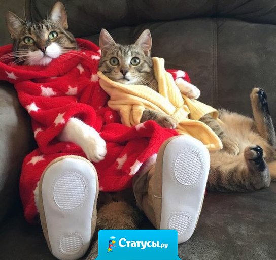 Дружба на мой взгляд – действительно дар в нашей жизни, обладающий самостоятельной ценностью и не растворяющийся ни в каких других отношениях. Если она есть, важно ее оберегать.