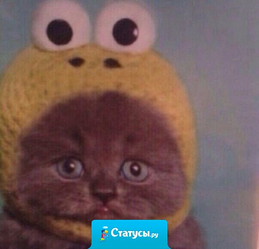 Когда смотришь свои детские фотографии.