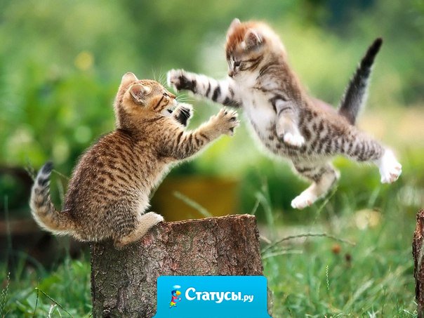 Радость от долгожданной встречи нельзя передать словами, это можно только почувствовать.