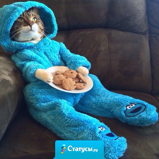 Воскресным вечером...